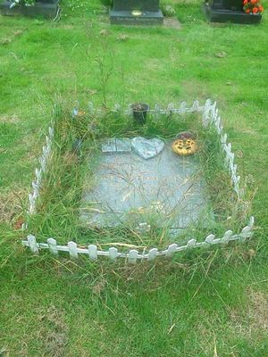 Jamie's grave before the clean-up