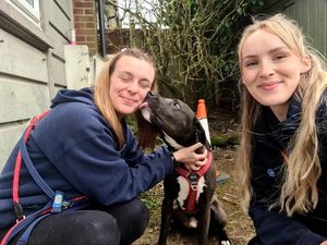 Could you give Mischief, also known as 'The Chief', a home?