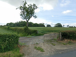 Supporting image for story: Historian's "heresy" robs Oswestry's claim to epic battle