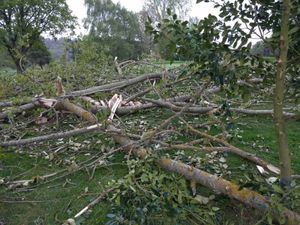 Supporting image for story: Storm Hannah brings down tree but Bridgnorth Golf Club open day still tees off 
