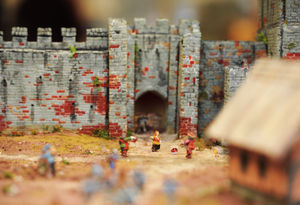 Details of the model