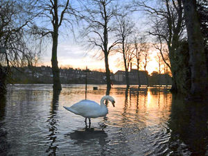 Supporting image for story: River Severn breaks banks near the Iron Bridge as flood waters hit high