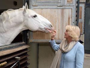 Supporting image for story: World’s oldest riding school loved by royal family to tour England and Scotland