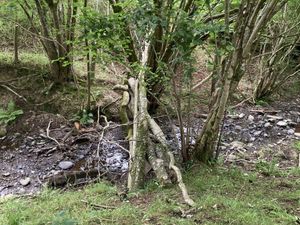 Supporting image for story: £676k granted for Powys flooding projects