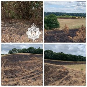 Wyre Forest grass fires