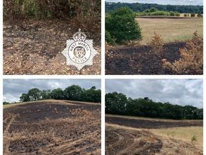 Supporting image for story: Police investigate 'deliberate' fires started in Wyre Forest fields during heatwave