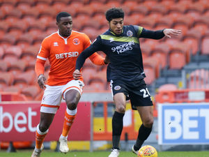 Supporting image for story: Blackpool 0 Shrewsbury 0 - Report and pictures