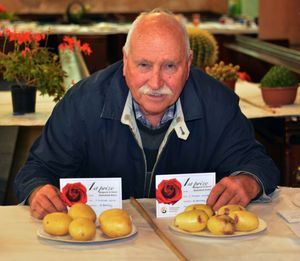 Bob Bradley who took first prize in the Potatoes section.    photo Eddie Brown