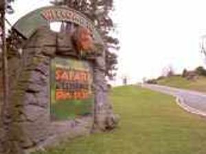 Supporting image for story: Deliveries halted at safari