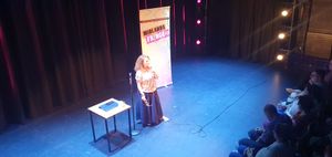 The headline set helped to bring the first day of the Midlands Fringe Festival to a proper close