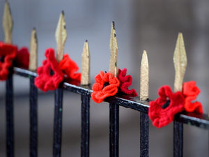Supporting image for story: Poppy displays spread through town