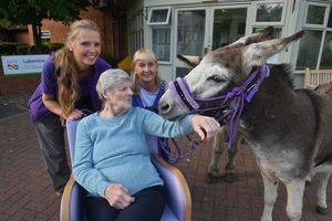 WALSALL COPYRIGHT NATIONAL WORLD STEVE LEATH 30/09/25Lakeview Care Home/ Nursing Home, between Walsall and Great Wyrley, where Donkeys Alfie and Vinnie visited two care homes in Great Wyrley.
 Resident: June Hewitt says hello. 
With her from Donkey EARS  is Sarah Killion and Jo Wightman.
