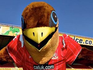 Supporting image for story: Walsall FC offers fans chance of a lifetime to take over the role of Swifty the mascot 