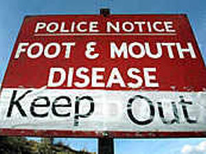 Supporting image for story: Memorable year for farmers