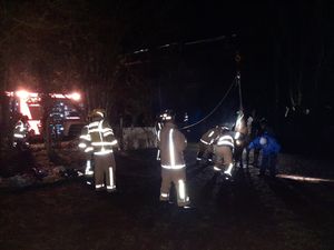 Firefighters were called to help a horse up after it fell in a field. Pic: @TomHatfieldRE