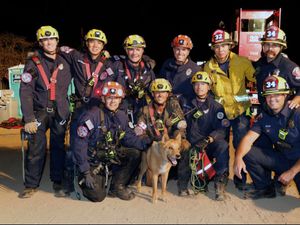 Supporting image for story: Blind dog rescued from hole at California construction site