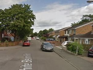 Supporting image for story: Masked machete men 'mistakenly' smash their way into woman's home