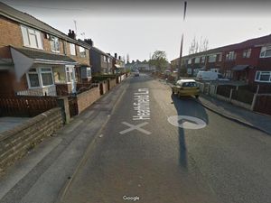 Supporting image for story: Woman in hospital after being mauled by pig running loose in Darlaston street