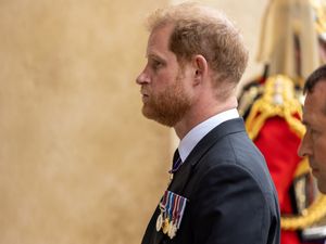 Supporting image for story: Harry tells TV interviewer he wants his father and brother back