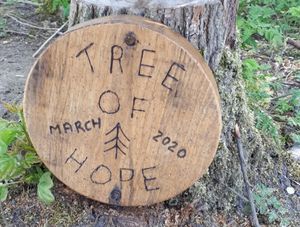 Supporting image for story: Tree brings hope to Bumble Hole Nature Reserve