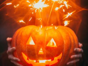 Supporting image for story: Festive fun, food and adventures at organic estate this season