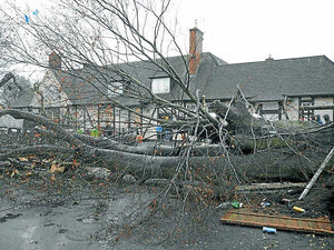 Supporting image for story: Four killed, trains delayed and planes diverted as storms blow in