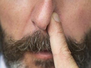 Supporting image for story