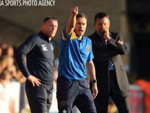 Supporting image for story: Paul Hurst's Shrewsbury Town reign only just warming up