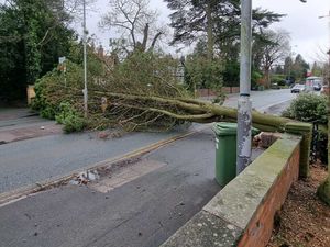 Supporting image for story: Storm Eunice as it happened as region was battered by 70mph winds