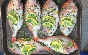 Something fishy – Red Snapper, stuffed with lemon, herbs and orangePictures by Russell Davies