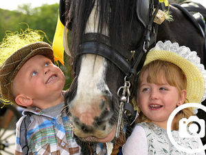 Supporting image for story: Crowds turn out for Shropshire horse parade