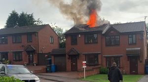 Supporting image for story