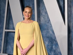 Supporting image for story: Sharon Stone lost millions in savings after 2001 stroke: ‘I had zero money’