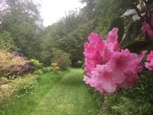 The private gardens will open for the National Garden Scheme on May 11th.