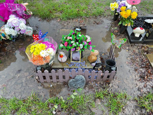 Supporting image for story: 'Graves are underwater': Devastation as Walsall plots flooded 'like a lake' again following weekend of heavy rain