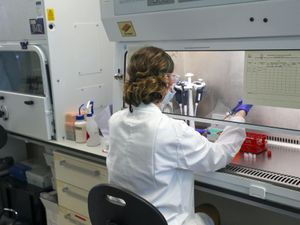 Supporting image for story: What does the vaccine announcement mean for the population?