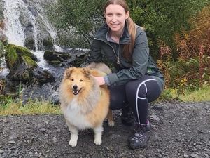 Supporting image for story: Shropshire dog lovers’ pets sought to help understand public perceptions of canine health