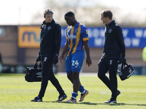 Supporting image for story: Steve Cotterill: Christian Saydee injury is ‘nothing major’