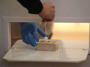 Supporting image for story: Bar customers urged to take a test after Indian variant detected