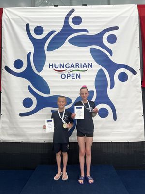 Seb Reeve and Teal Sutton swam their way to a stunning gold in Hungary.
