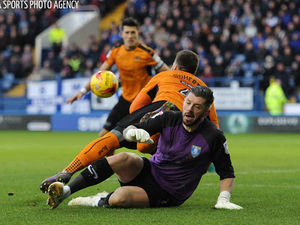 Supporting image for story: Sheff Wed 0 Wolves 0 - Report and pictures