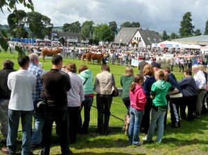 Crowds at a previous Royal Welsh Show