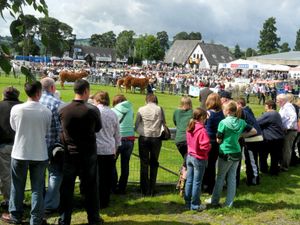 Supporting image for story: 2021 Royal Welsh Show cancelled over pandemic