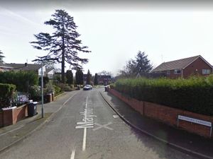 Supporting image for story: Protected 150-year-old tree facing the axe despite calls to preserve it