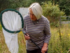 Supporting image for story: Campaigners close to buying bio-diverse meadow after raising £20,000