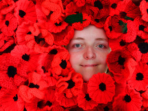 Supporting image for story: Appeal for poppy knitters to celebrate Brierley Hill War Memorial's Centenary