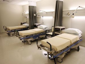 Supporting image for story: Hospital patient dies from confirmed case of Lassa fever, UKHSA says