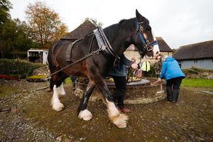 Cider-making at Acton Scott