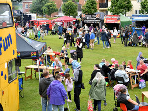 Supporting image for story: 'Biggest ever' Halesowen Carnival being held on Saturday