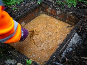 Supporting image for story: Severn Trent urges customers to make New Year’s resolutions that really flow in 2026